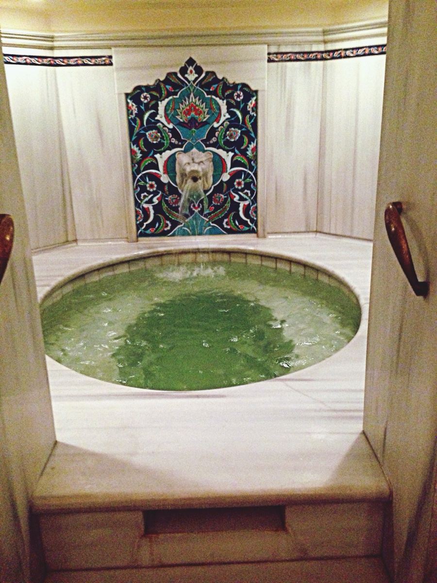 الحمام التركي (حمام)